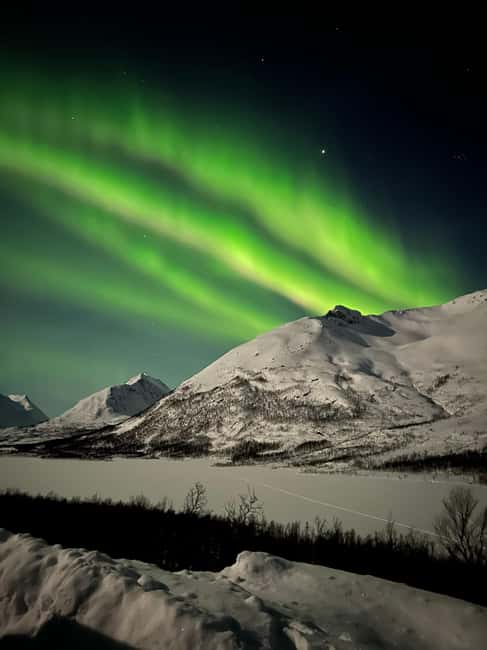 Tromsø: Private Northern Lights Chase by Mercedes V-class - Five things to know before you book