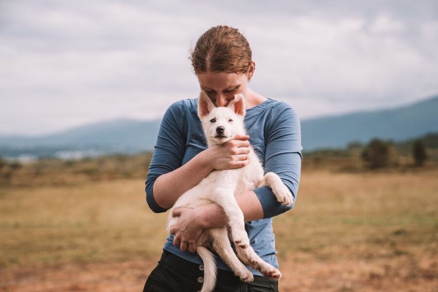 Tromsø: Puppy Training at the Husky Kennel with Lunch - Key points to know before booking