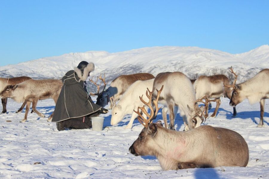 Tromsø: Reindeer Camp and Sami Cultural Tour with Lunch - Warming up in the lavvu