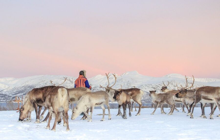 Tromsø: Reindeer Camp and Sami Cultural Tour with Lunch - Sami stories, family life, and joik