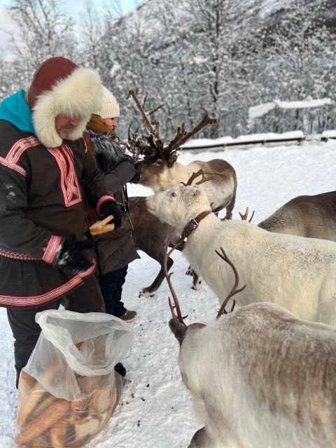 Tromsø: Reindeer Experience at a Sami Camp - Warming up in the lavvu