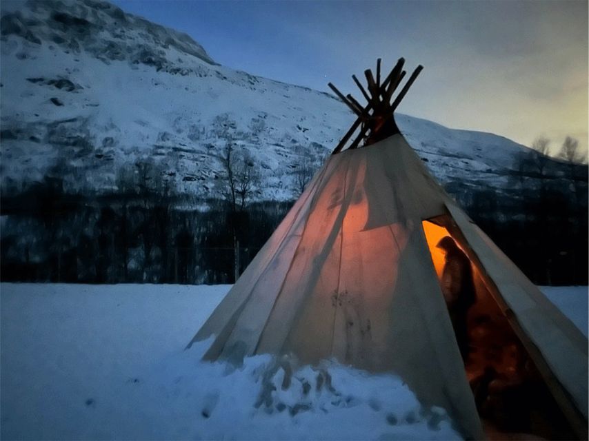 Tromsø: Reindeer Experience at a Sami Camp - Meeting a working Sami family