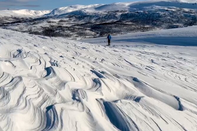 Tromso: Reindeer Feeding and Snowshoeing Tour with Lunch - Key points at a glance