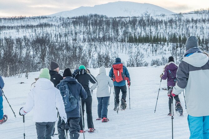 Tromso: Reindeer Feeding and Snowshoeing Tour with Lunch - Snowshoeing for about 1 to 1.5 hours
