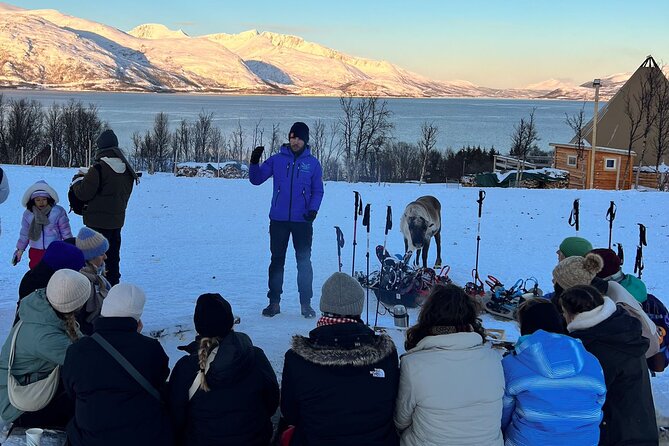 Tromso: Reindeer Feeding and Snowshoeing Tour with Lunch - Meeting at the Tromsø bus terminal