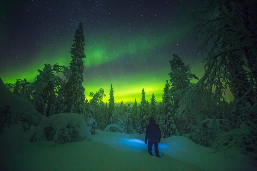 Tromsø: Reindeer Sled, Dinner, and Chance of Northern Lights - Sami stories, beliefs, and joik by the fire