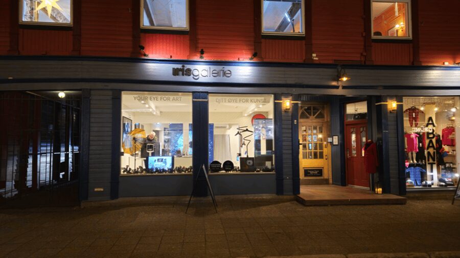 Tromsø: Reveal Your Eye Experience at the Iris Galerie - Accessibility and practical planning