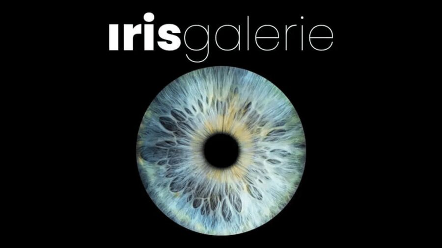 Tromsø: Reveal Your Eye Experience at the Iris Galerie - Choosing an iris image that feels right
