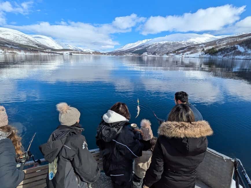 Tromsø’s Top-Rated Fjord & Fishing Cruise – All-Inclusive - Ramfjorden: The Trip’s Most Hands-On Hour