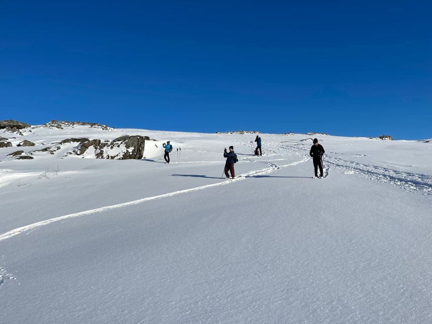 Tromso: Scenic & Eco-Friendly Snowshoeing Tour - Two fjords from the viewpoint