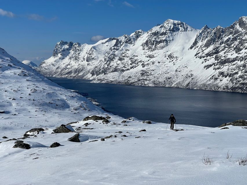 Tromso: Scenic & Eco-Friendly Snowshoeing Tour - What the three-hour schedule really gives you