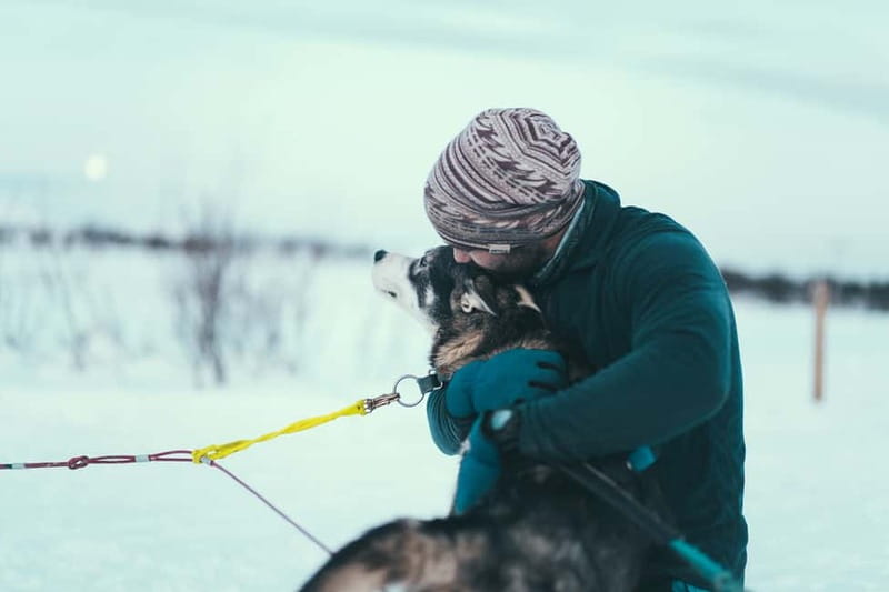 Tromsø: Self-Drive Husky Dog Sledding Adventure - Should You Book This Husky Adventure?