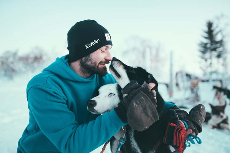 Tromsø: Self-Drive Husky Dog Sledding Adventure - Taking the Handles of Your Own Sled