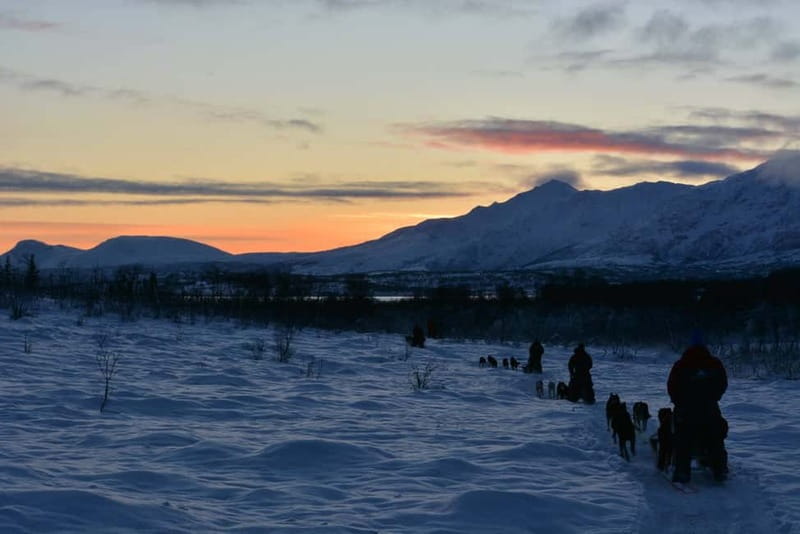 Tromsø: Self-Drive Husky Dog Sledding Adventure - Practical Tips for a Better Ride