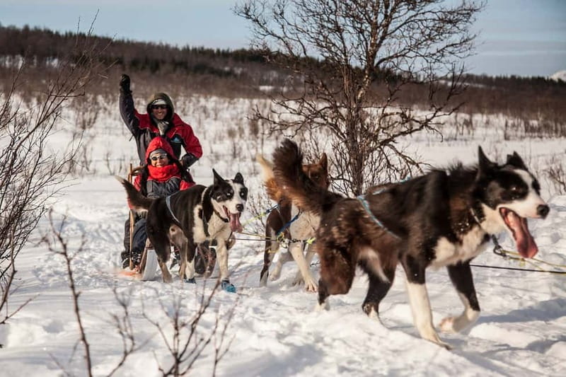 Tromsø: Self-Drive Husky Dog Sledding Adventure - Getting Ready in Arctic Clothing