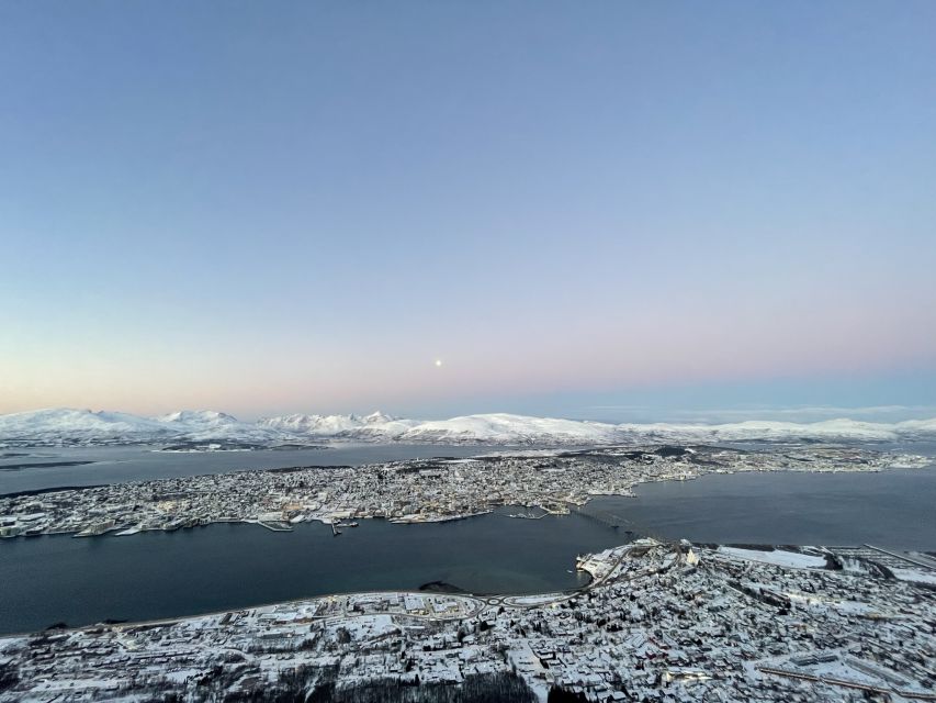 Tromso: Sightseeing Cruise by Catamaran with Snacks & Drinks - Wildlife depends on season and patience