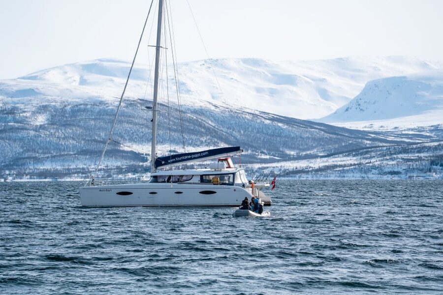 Tromso: Sightseeing Cruise by Catamaran with Snacks & Drinks - What the two-hour route feels like