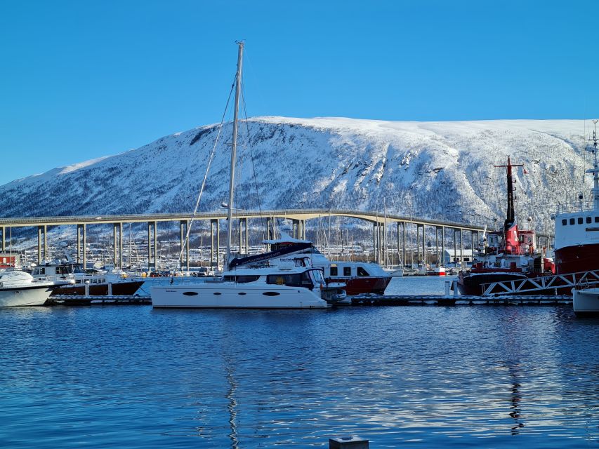 Tromso: Sightseeing Cruise by Catamaran with Snacks & Drinks - Is $136 a fair price?
