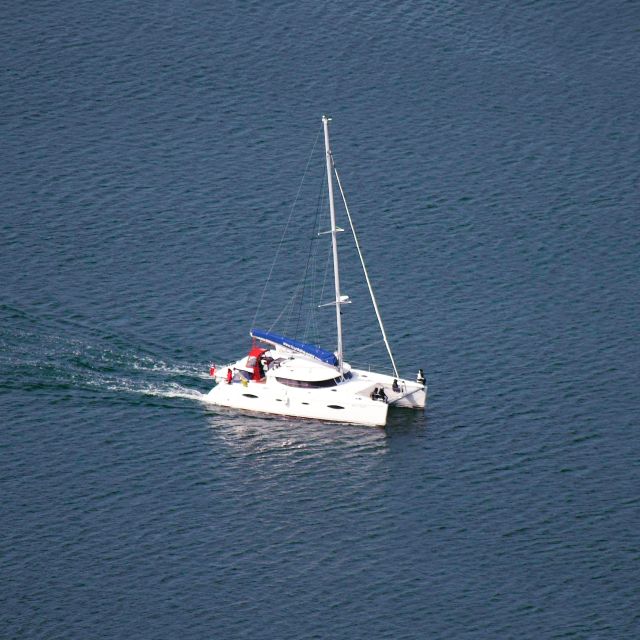 Tromso: Sightseeing Cruise by Catamaran with Snacks & Drinks - Useful details before you go
