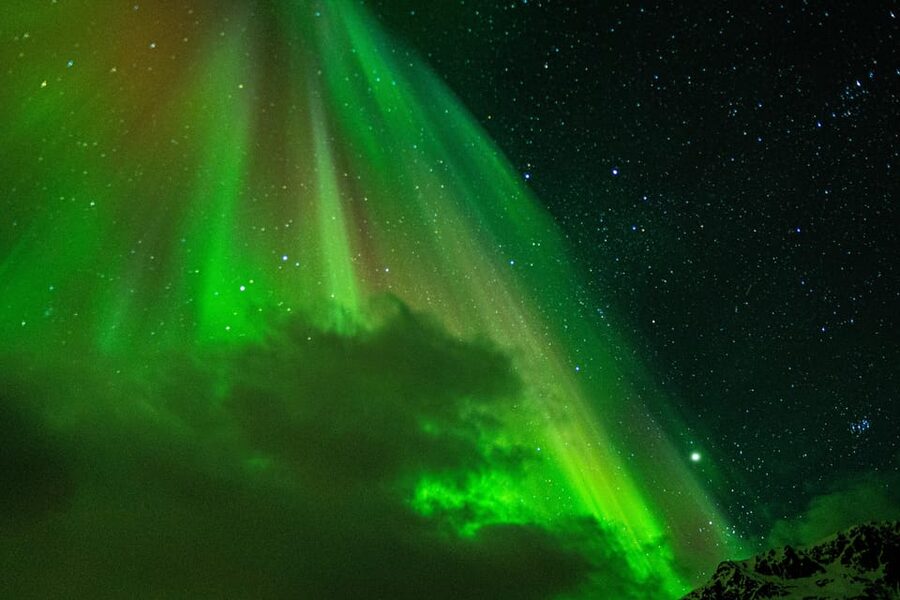 Tromsø: Small-Group Adventurous Northern Lights Hunt - Who will enjoy this tour most