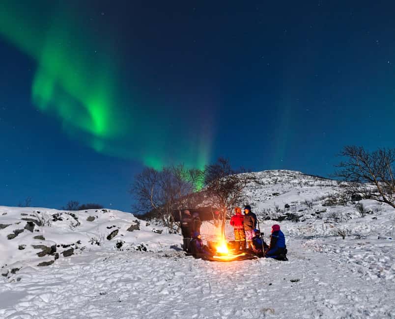 Tromsø: Small Group Northern Lights Hunt - Meeting the black minibus in central Tromsø