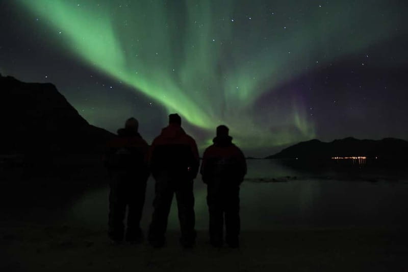 Tromsø: Small Group Northern Lights Hunt - Is $206 a fair price?