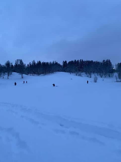Tromsø: Snow Sledding, Mini Skiing, Lasso and Reindeer Hides - How much value do you get for $69?
