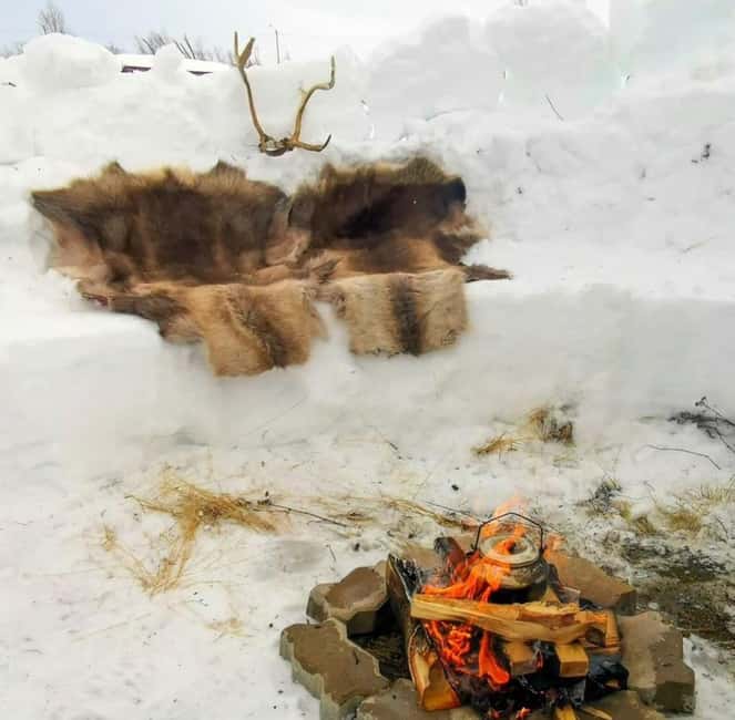 Tromsø: Snow Sledding, Mini Skiing, Lasso and Reindeer Hides - Meeting at Charlottenlund aktivitets- og friluftspark