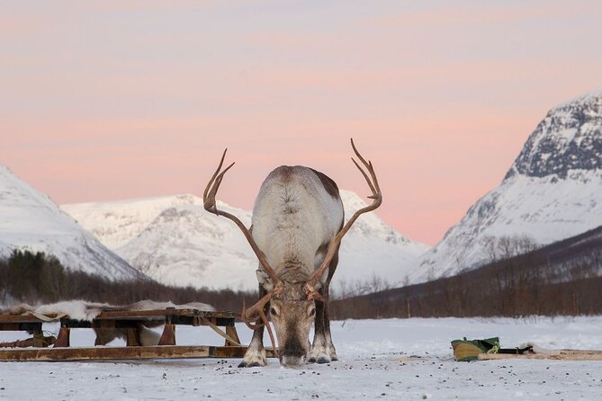 Tromsø Snowmobiling, Ice Domes Snow Park, and Reindeer Visit - Getting suited up at Camp Tamok