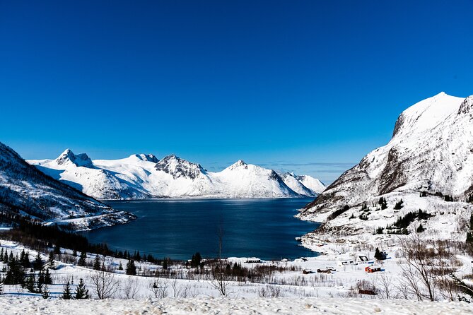 Tromso-Snowshoeing Excursion to Viewpoint - Why this Tromsø snowshoe trip is worth considering