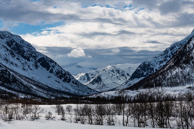 Tromso-Snowshoeing Excursion to Viewpoint - The 30-minute ride out of Tromsø
