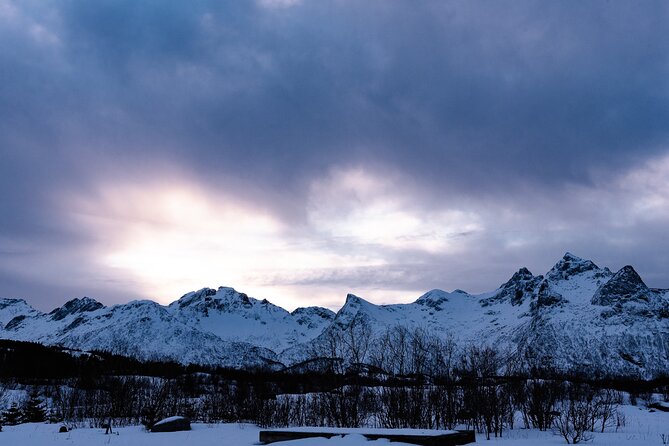 Tromso-Snowshoeing Excursion to Viewpoint - Walking toward the viewpoint