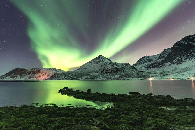 Tromso Snowshoeing - Valley, Fjord Views, Wildlife, Meal & Pickup - Quick facts about the Tromsø snowshoe tour
