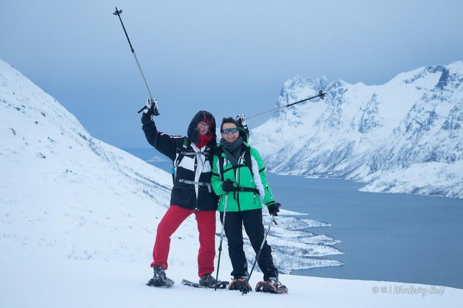 Tromso Snowshoeing - Valley, Fjord Views, Wildlife, Meal & Pickup - Reindeer, moose, and Arctic nature