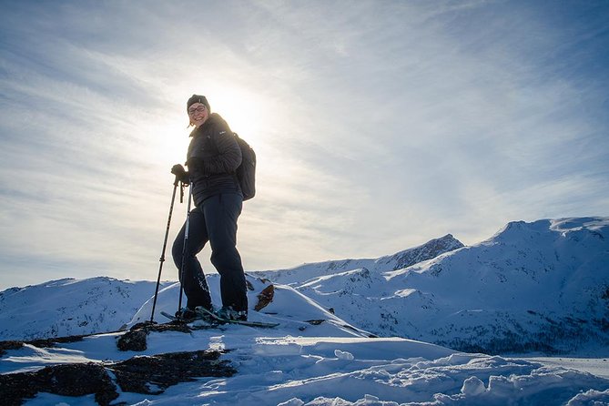 Tromso Snowshoeing - Valley, Fjord Views, Wildlife, Meal & Pickup - Free photos and a genuinely useful extra