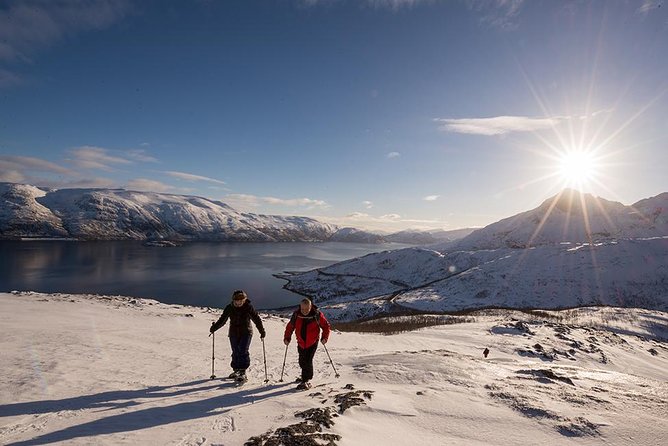 Tromso Snowshoeing - Valley, Fjord Views, Wildlife, Meal & Pickup - What the $129 price buys you