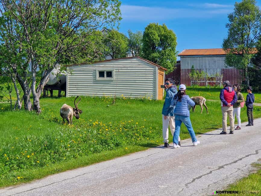 Tromsø: Sommaroy Fjord Tour with Lunch Option & Midnight Sun - The longer ride toward Sommarøy