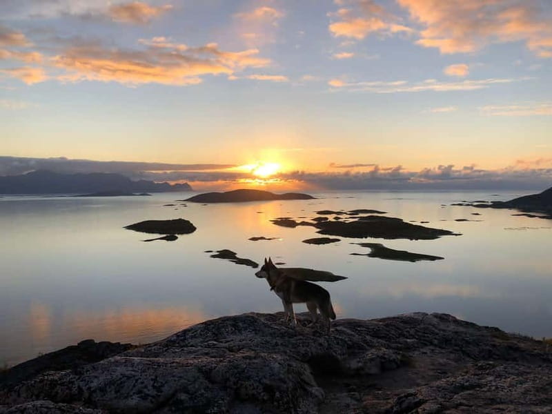 Tromsø: Sommarøy Islands Midnight Sun Tour - Why Sommarøy is worth the late-night trip