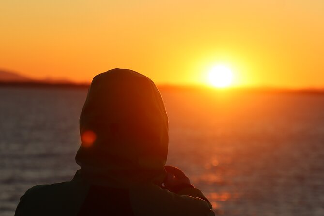 Tromsø & Sommarøy - Private coastal tour with a local - Timing, pickup, and how flexible the day feels