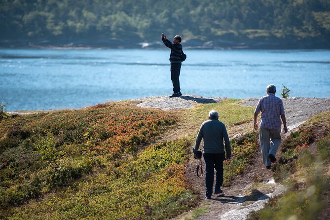 Tromsø & Sommarøy - Private coastal tour with a local - Who gets the most value from this experience