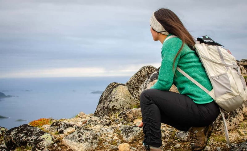 Tromsø: Summer Day Hike in the wilderness - Should you book the Brosmetinden hike?