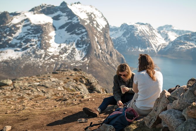 Tromsø: Summer Day Hike with Wandering Owl - Key points at a glance
