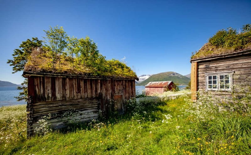 Tromsø: Summer Fjord Road Trip with Citizen Science - Wildlife watching with realistic expectations