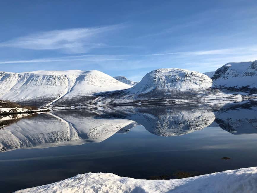 Tromsø Whale Safari with MS Gabriele - How the crew handles wildlife and weather