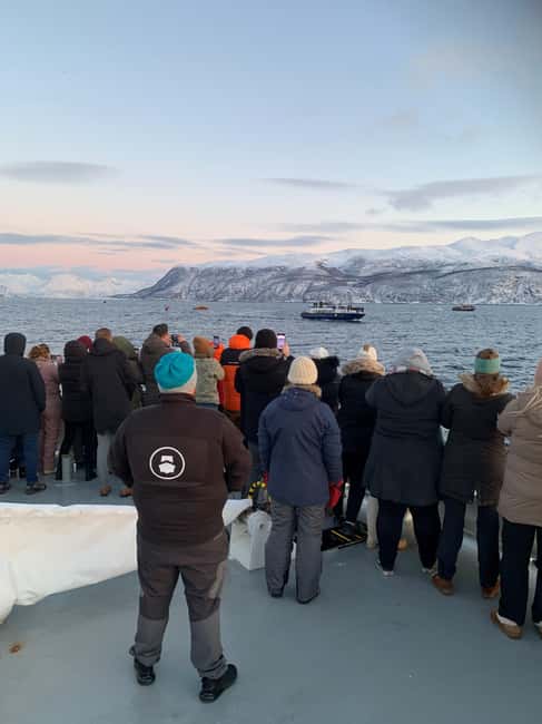 Tromsø Whale Safari with MS Keiser Wilhelm - Key points to know before you sail