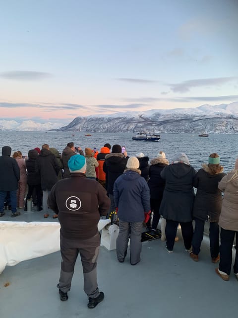 Tromsø Whale Safari with MS Keiser Wilhelm - Should you book the MS Keiser Wilhelm whale safari?