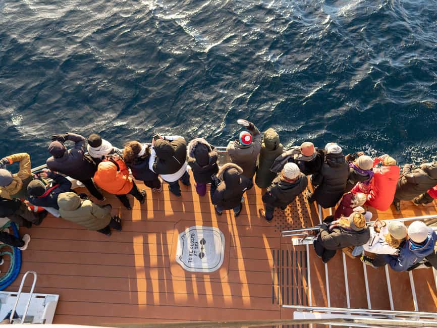 Tromsø: Whale Watching Tour by Hybrid-Electric Boat - What you can see around Skjervøy
