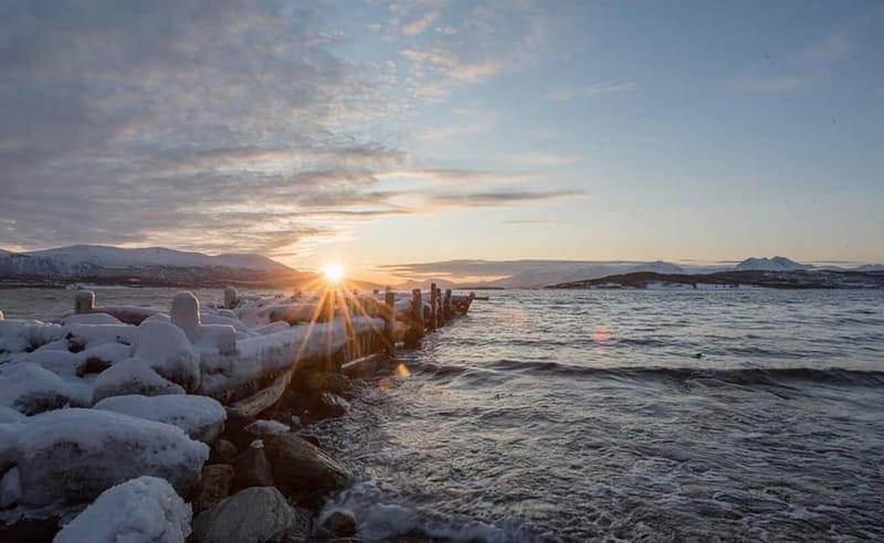 Tromsø: Winter Fjord Road Trip with Citizen Science - Key Points At A Glance