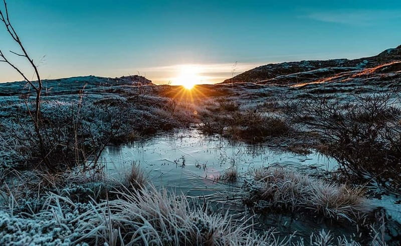 Tromsø: Winter Fjord Road Trip with Citizen Science - Wildlife Watching On The Coast