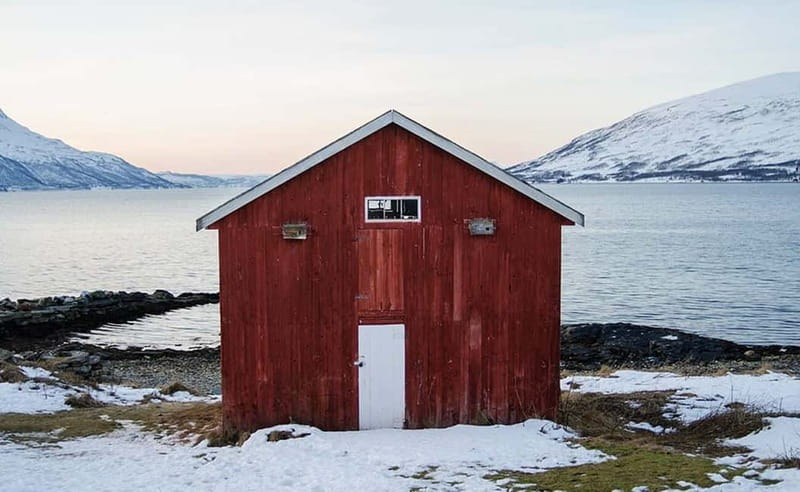 Tromsø: Winter Fjord Road Trip with Citizen Science - A Homemade Picnic By The Arctic Coast